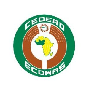 Participated Agencies 15